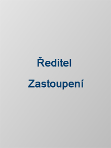 Ředitel Zastoupení