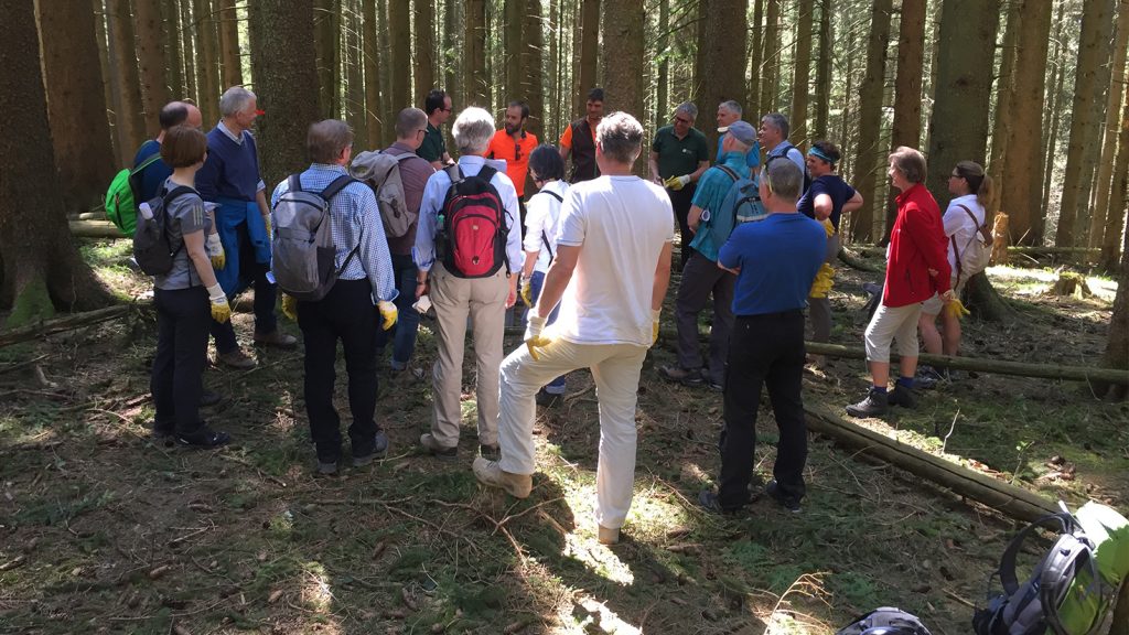Teilnehmerinnen und Teilnehmer TOP Management Programm beim Outdoor-Teambuildung.