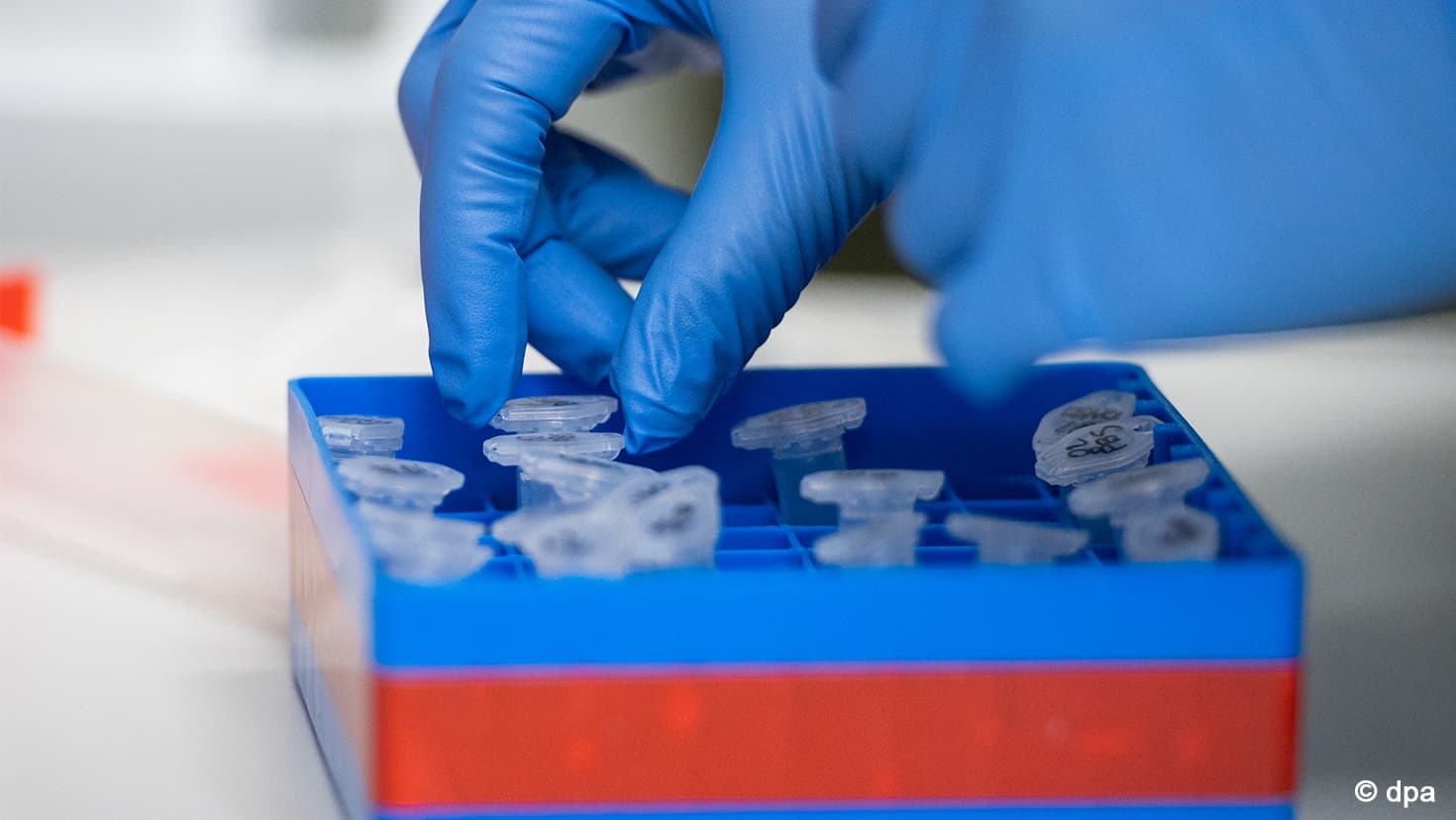 Forschung zum Coronavirus. © dpa / Christophe Gateau