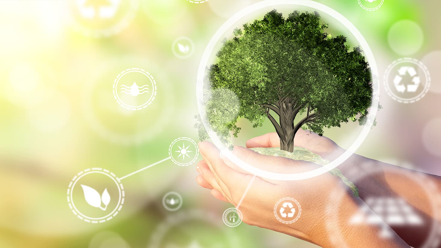 Die Hände einer Frau, die einen Miniaturbaum hält. Umweltbiodiversität im Ökosystem-Konzept. Hintergrund als Konzept der Energieeffizienz. Die Kraft der grünen Energie. Konzept der erneuerbaren Energien. © Icruci - stock.adobe.com