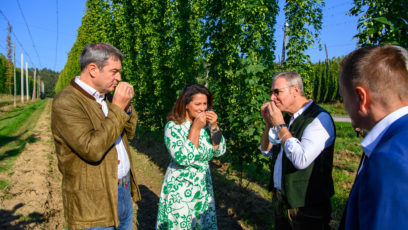 Der Präsident des Verbands Deutscher Hopfenpflanzer e.V., Adolf Schapfl (2. von rechts) informiert Ministerpräsident Dr. Markus Söder, MdL (links), und Landwirtschaftsministerin Michaela Kaniber, MdL (2. von links), über seinen Hopfenanbaubetrieb Schapfl in der Hallertau sowie die Hopfenernte.