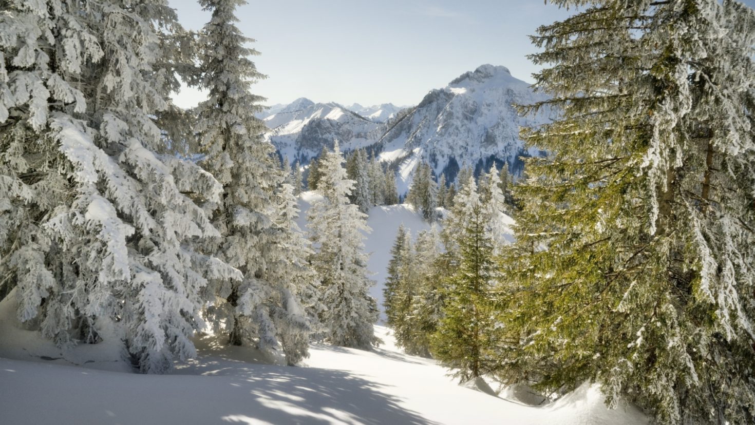 3. Teil: Berg und Tal