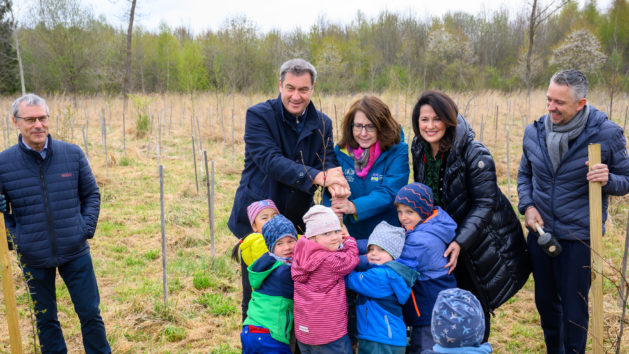 Anlässlich des 70. Jahrestags des „Tag des Baumes“ pflanzt Ministerpräsident Dr. Markus Söder, MdL, gemeinsam mit Forstministerin Michaela Kaniber, MdL, und der Vorsitzenden der Schutzgemeinschaft Deutscher Wald in Bayern,Tanja Schorer-Dremel, MdL, Buchen und andere klimastabile Bäume und Sträucher.