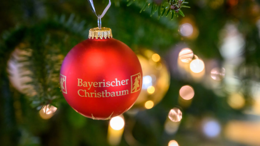 Weihnachtliche Stimmung im Kuppelsaal: Staatsminister Dr. Florian Herrmann, MdL, nimmt offiziell Christbäume für die Bayerische Staatskanzlei entgegen.