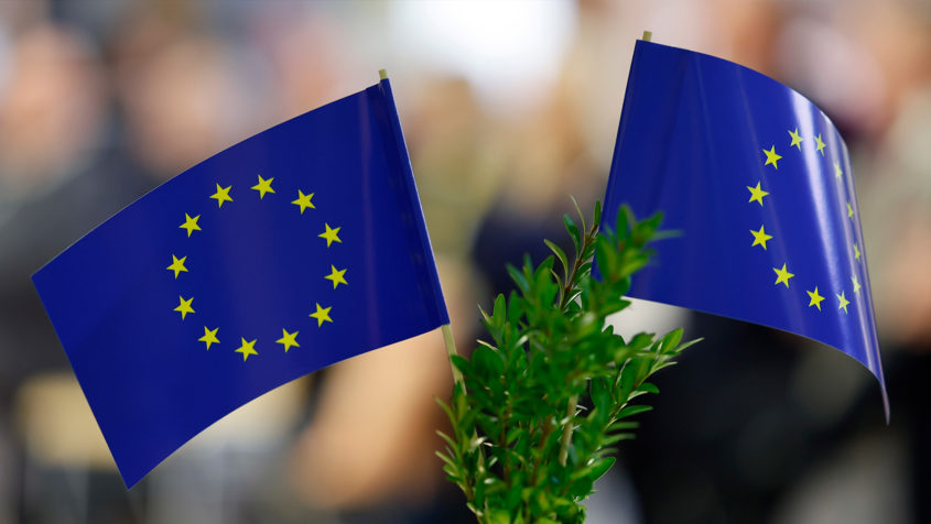 Die Europa-Urkunde „Schule für Europa – Bayern“ wird jedes Jahr an sieben Schulen aller Schularten aus allen Regierungsbezirken Bayerns für herausragende Verdienste um die Förderung des europäischen Einigungsgedankens verliehen.