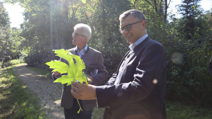 Der Leiter des Forstbetriebs Freising, Dr. Alfred Fuchs (links), ...