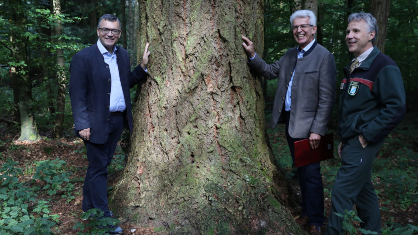 Staatsminister Dr. Florian Herrmann, der Leiter des Forstbetriebs Freising, Dr. Alfred Fuchs, und der Präsident der Bayerischen Landesanstalt für Wald und Forstwirtschaft, Dr. Peter Pröbstle (v.l.n.r.). im Kranzberger Forst bei Freising.