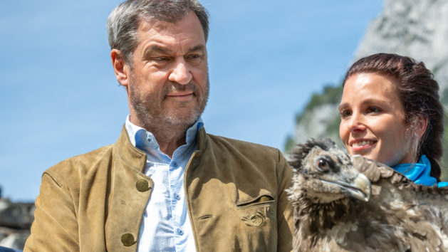 Ministerpräsident Dr. Markus Söder bei der Auswilderung junger Bartgeier im Nationalpark Berchtesgaden.