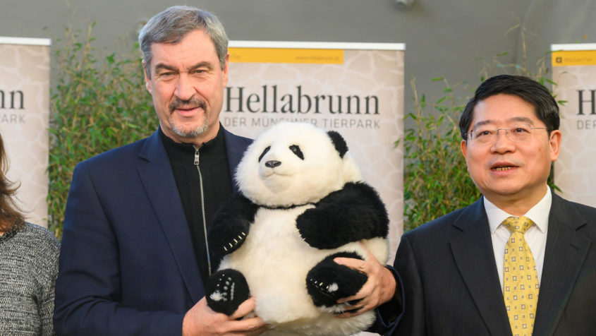 Ministerpräsident Dr. Markus Söder (links) und der chinesische Botschafter Hongbo Deng (rechts) im Tierpark Hellabrunn in München.